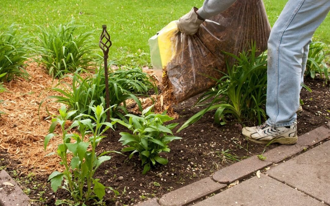 fall home improvement includes adding mulch to protect plants