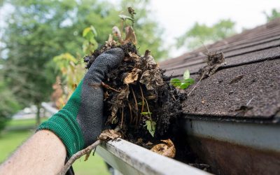 How to Clean Your Gutters Like a Pro